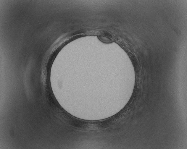 X0000116330295200912291558