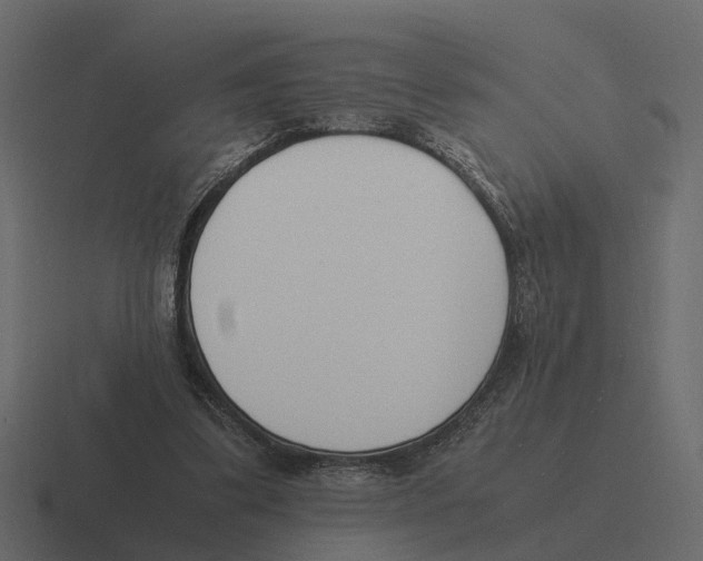X0000116330299200912291558