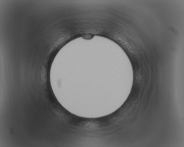 X0000116330303200912291558