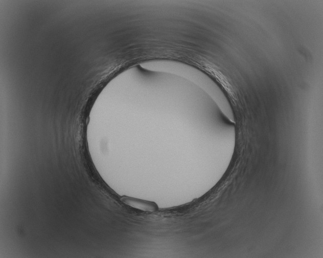 X0000116330305200912291558