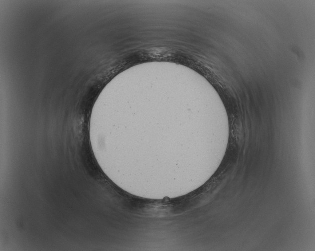 X0000116330319200912291558