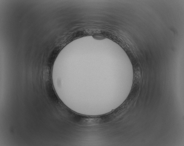 X0000116330323200912291558