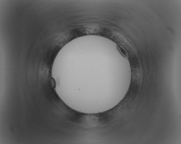 X0000116330327200912291557