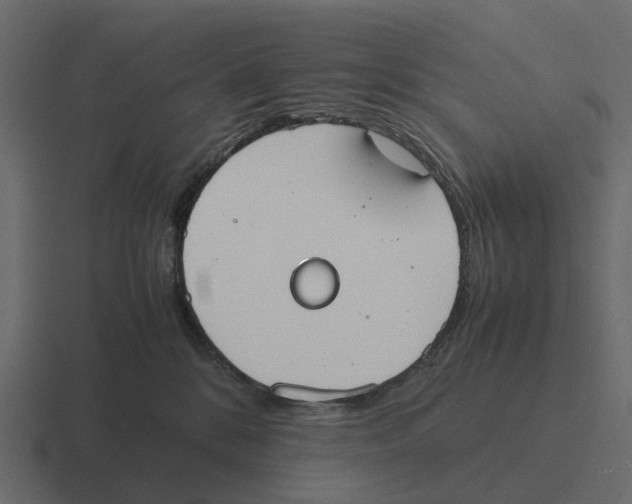 X0000116330328200912291557