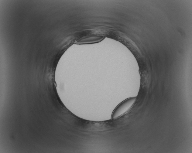 X0000116330329200912291557