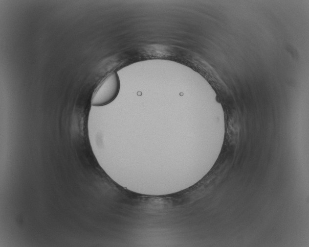 X0000116330330200912291557