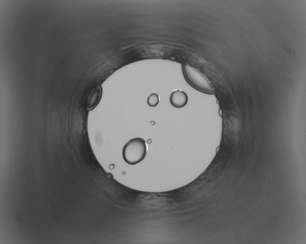 X0000116330331200912291557