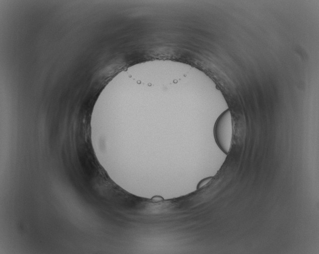 X0000116330334200912291557
