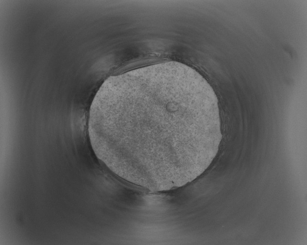 X0000116330336200912291557