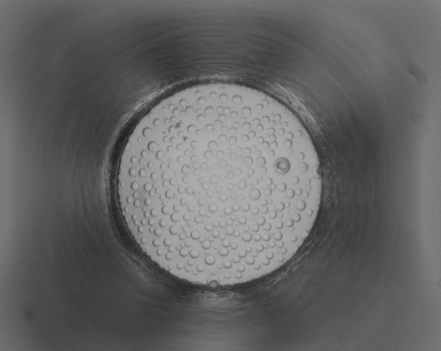 X0000116330346200912291557