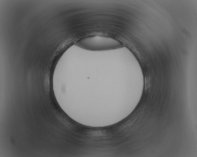 X0000116330349200912291557