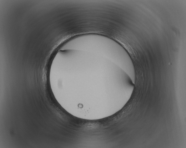 X0000116330350200912291557
