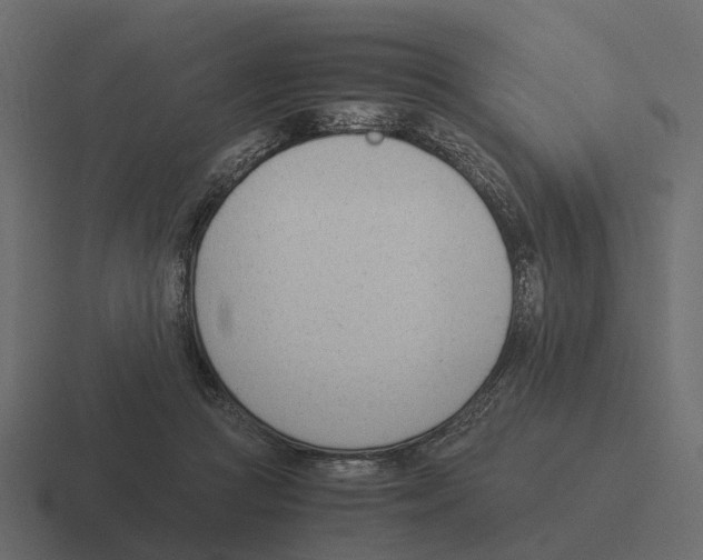 X0000116330361200912291557