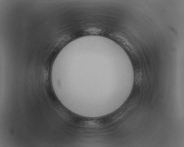 X0000116330365200912291557