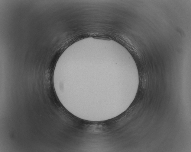 X0000116330366200912291557