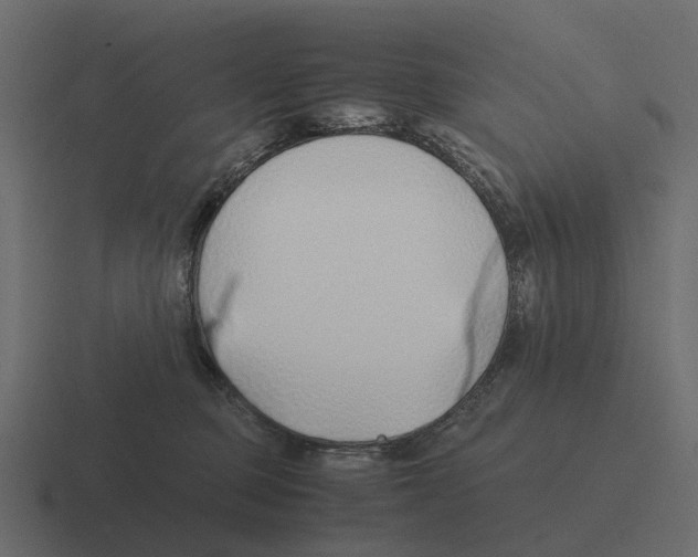 X0000116330373200912291557