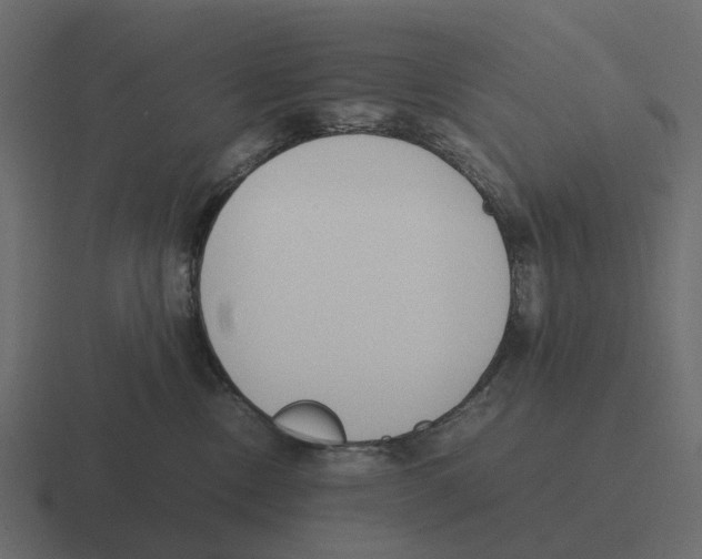 X0000116330378200912291557