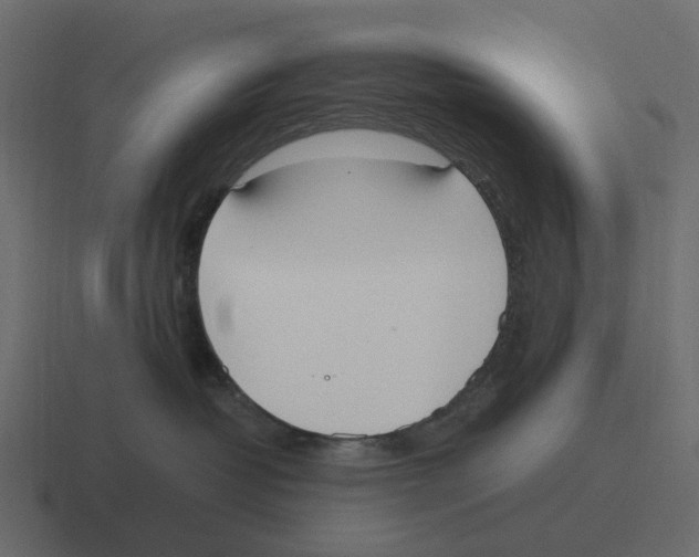 X0000116330382200912291557