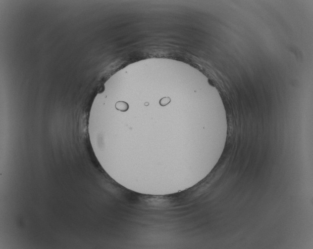 X0000116330383200912291557