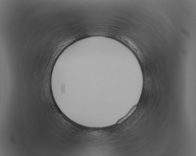 X0000116330385200912291557