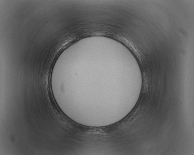 X0000116330386200912291557
