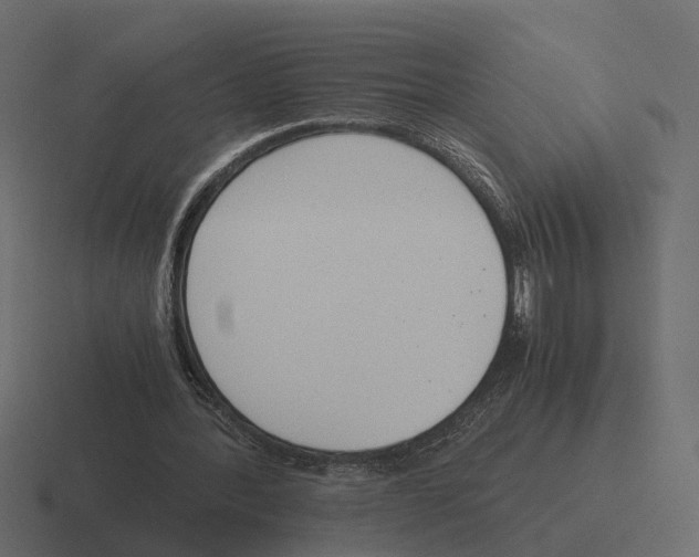 X0000116330388200912291557
