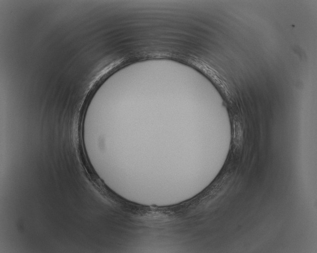 X0000116330390200912291557
