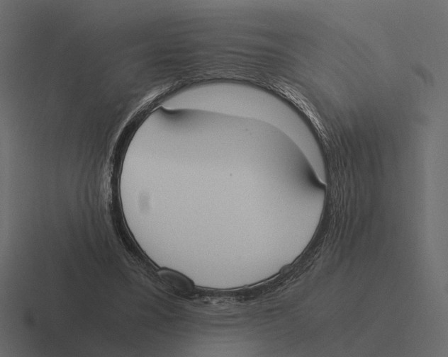 X0000116330395200912291557