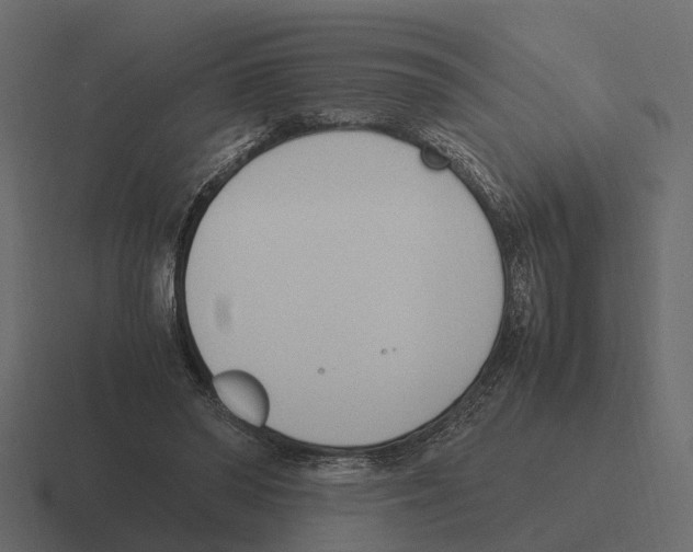 X0000116330398200912291557