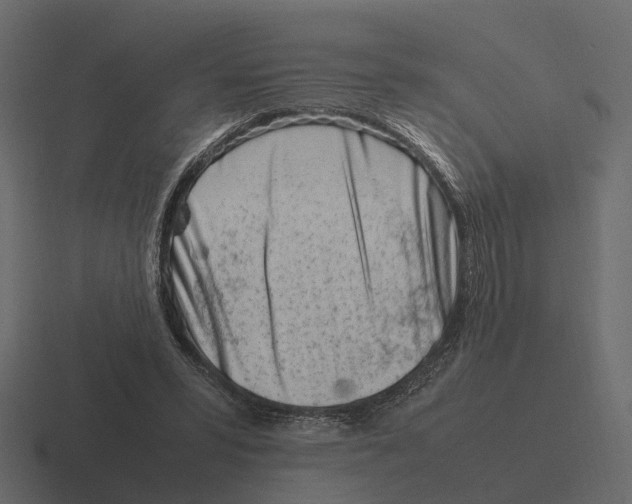 X0000116330399200912291557