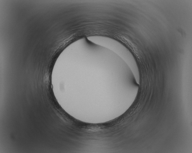 X0000116330405200912291556
