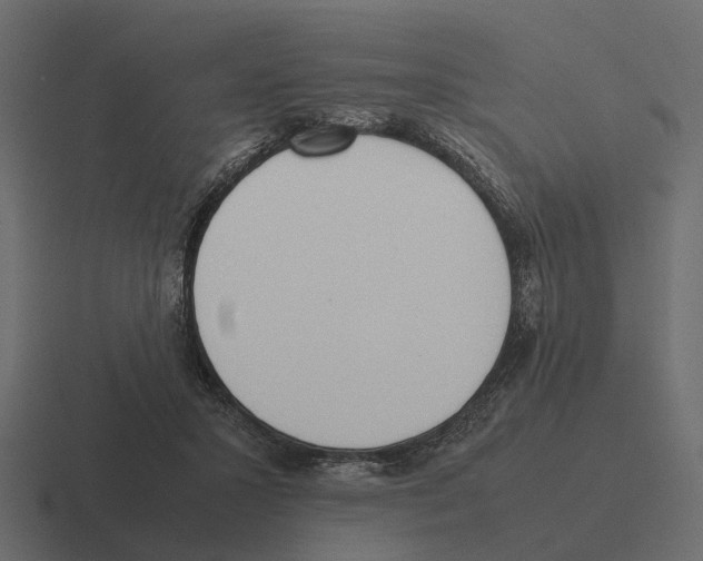 X0000116330407200912291556