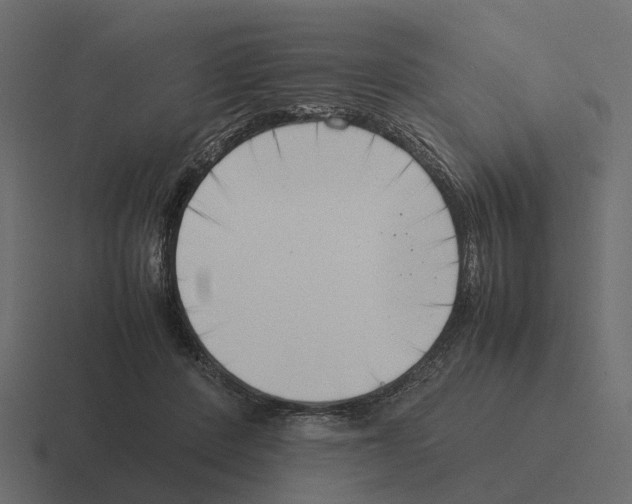 X0000116330408200912291556