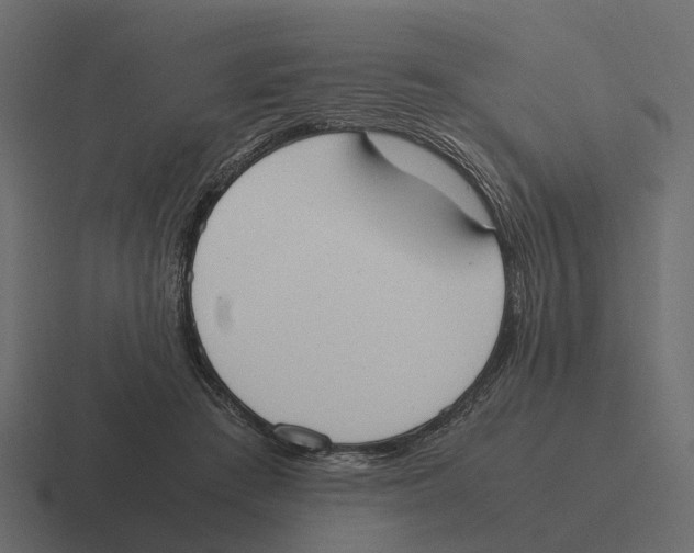 X0000116330409200912291556