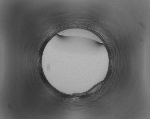 X0000116330411200912291556