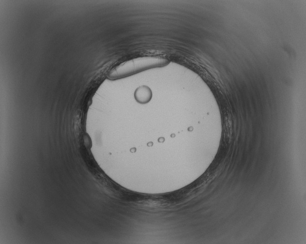 X0000116330412200912291556