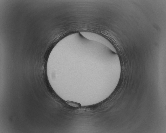X0000116330415200912291556