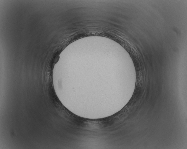 X0000116330417200912291556