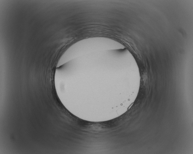 X0000116330423200912291556