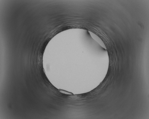 X0000116330425200912291556