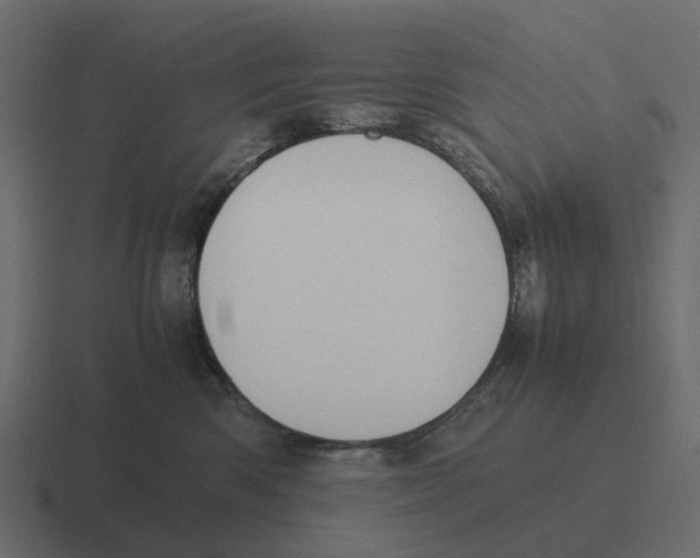 X0000116330426200912291556