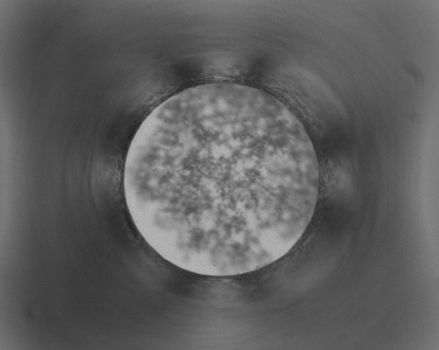 X0000116330427200912291556