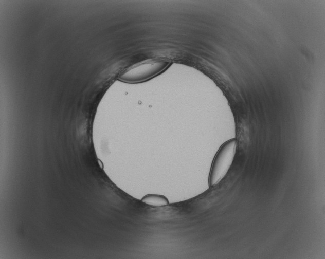 X0000116330428200912291556