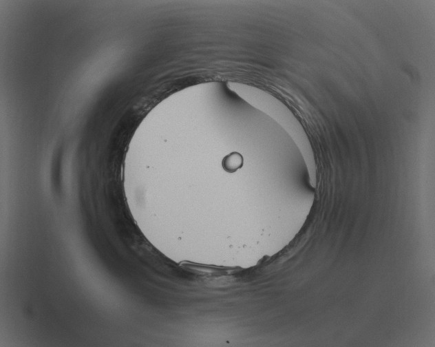 X0000116330429200912291556