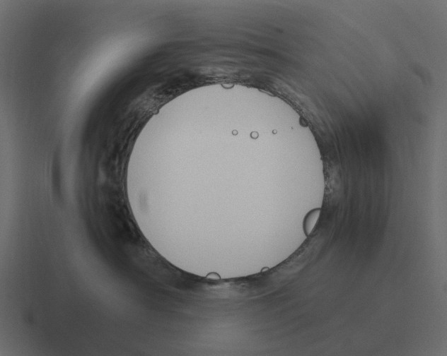 X0000116330430200912291556