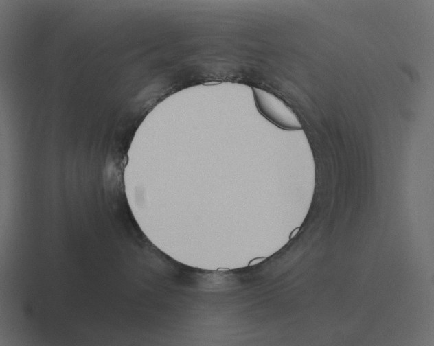 X0000116330432200912291556