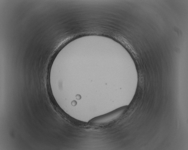 X0000116330434200912291556