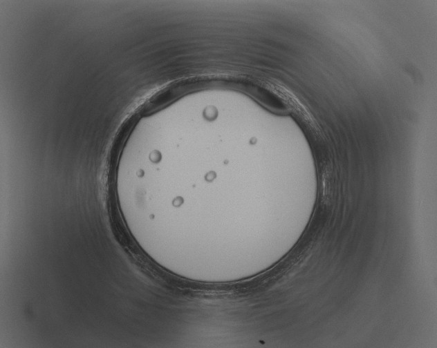 X0000116330436200912291556