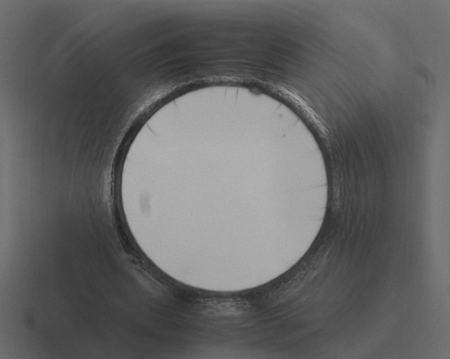 X0000116330439200912291556
