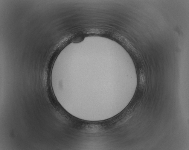 X0000116330444200912291556
